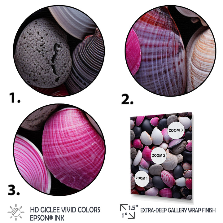 Pink Grey Pink White Shells Seashore Collage - Seashell Wall Art Prints