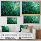 Emerald Euphoria II - Landscapes Canvas Wall Art