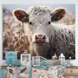 Cow Portrait Photography - Cow Home Decor Art