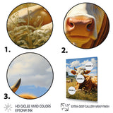 Cow Contentment - Cow Canvas Wall Art
