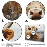 Cow In The Meadow III - Animals Canvas Wall Art