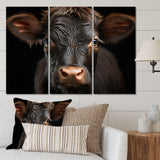 Cow Portrait - Multi-Panels
