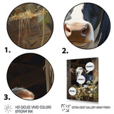 Cow Rustic Charm I - Animals Canvas Wall Art