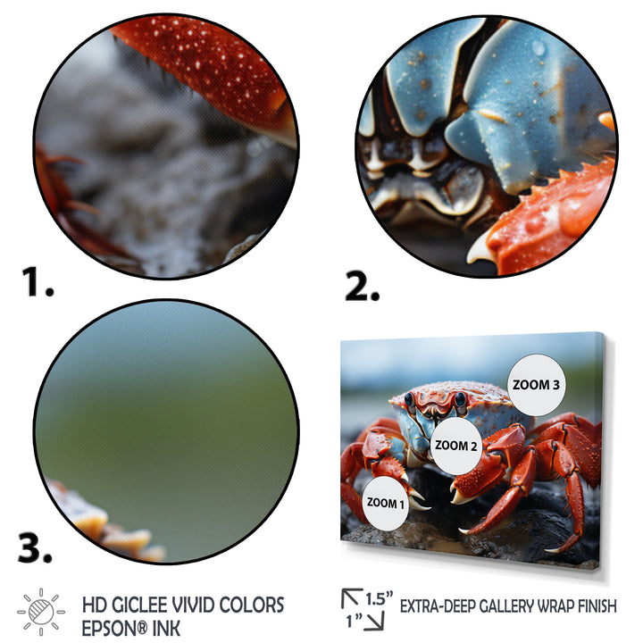 Crab Coastal Guardian - Crab Wall Art Prints