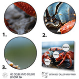 Crab Coastal Guardian - Crab Wall Art Prints
