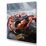 Crab Coastal Sentry - Crab Living Room Wall Art