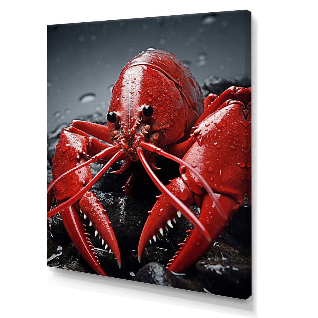 Crayfish Elusive Crayfish - Coral Crayfish Wall Art
