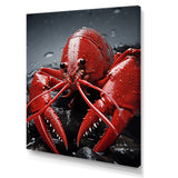 Crayfish Elusive Crayfish - Coral Crayfish Wall Art