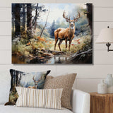 Deer Graceful Grazing - Animals Canvas Wall Art