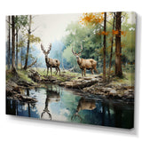 Deer Majestic Reflections - Animals Canvas Wall Art