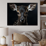 Black And White Deer Portrait - Animals Canvas Wall Art