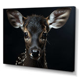 Black And White Deer Portrait - Animals Canvas Wall Art