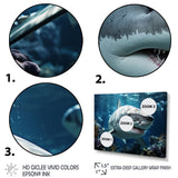Teal Grey Shark Marine Symphony - Teal Shark Wall Art