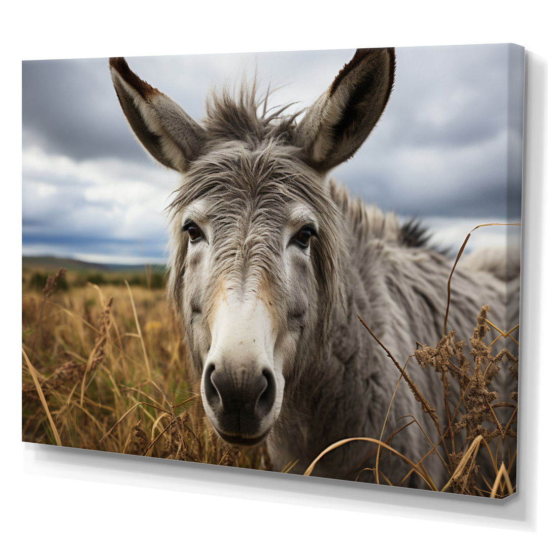 Grey Donkey Gentle Companion - Donkey Home Decor Art