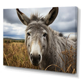 Grey Donkey Gentle Companion - Donkey Home Decor Art