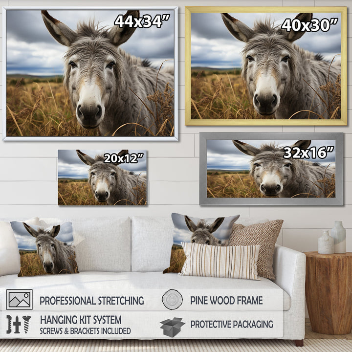 Grey Donkey Gentle Companion - Donkey Home Decor Art