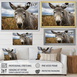 Grey Donkey Gentle Companion - Donkey Home Decor Art