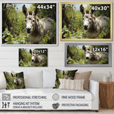 Grey Donkey Gentle Companion Pastoral - Donkey Bedroom Wall Art