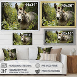 Grey Donkey Gentle Companion Pastoral - Donkey Bedroom Wall Art