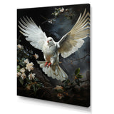 White Dove Messenger Of Peace - White Dove Wall Art