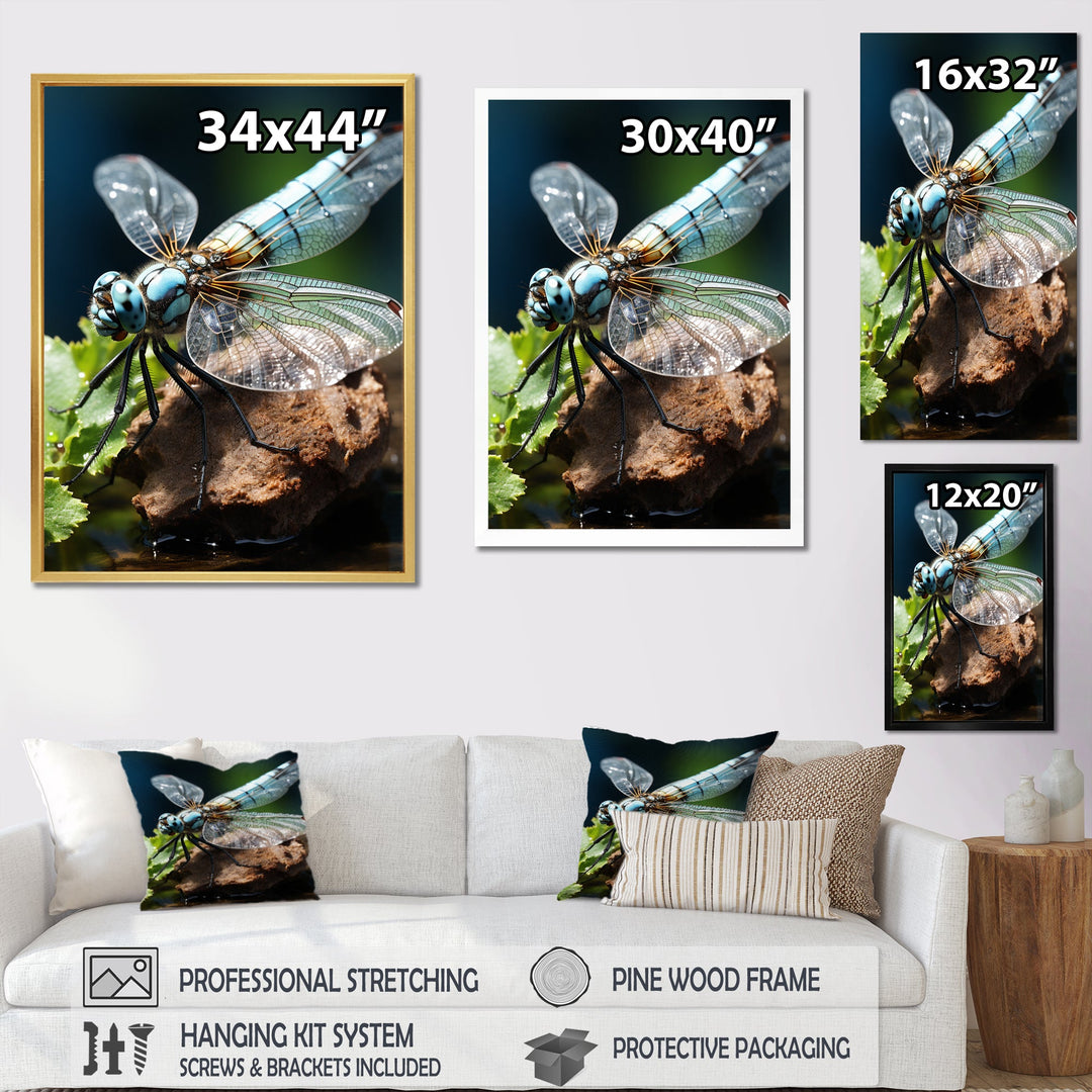 White Dragonfly Insects Flight - Dragonfly Wall Art Prints