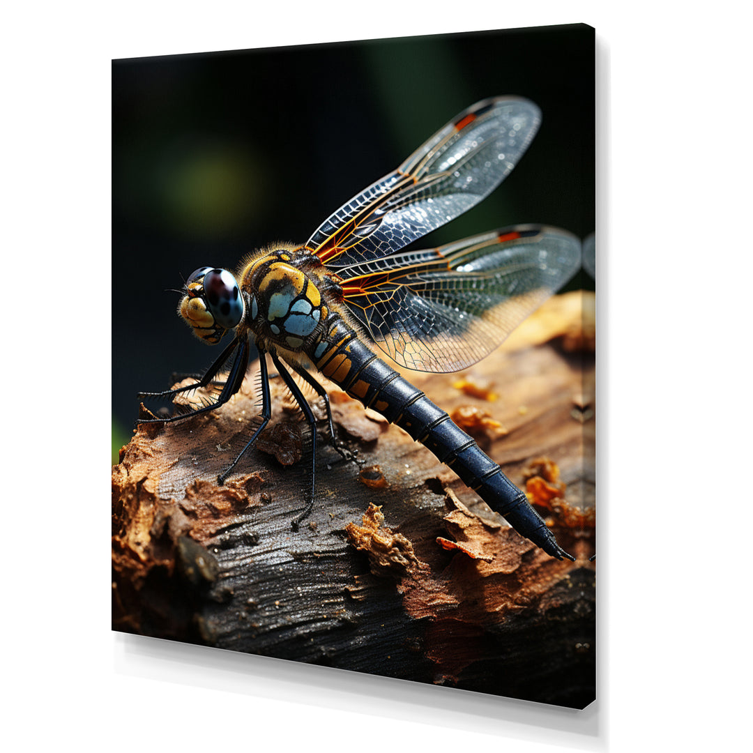 Brown Dragonfly Portrait Vibrant - Dragonfly Home Decor Art