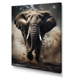 Elephant Glimmers Of Grace - Elephant Bedroom Wall Art