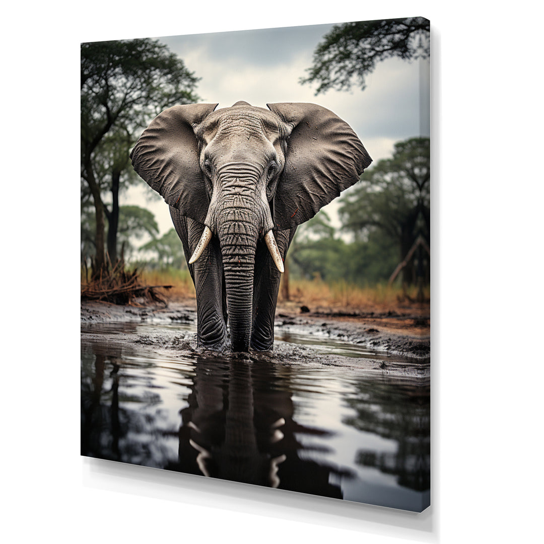 Elephant Majestic Reflections - Elephant Wall Decor