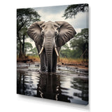 Elephant Majestic Reflections - Elephant Wall Decor
