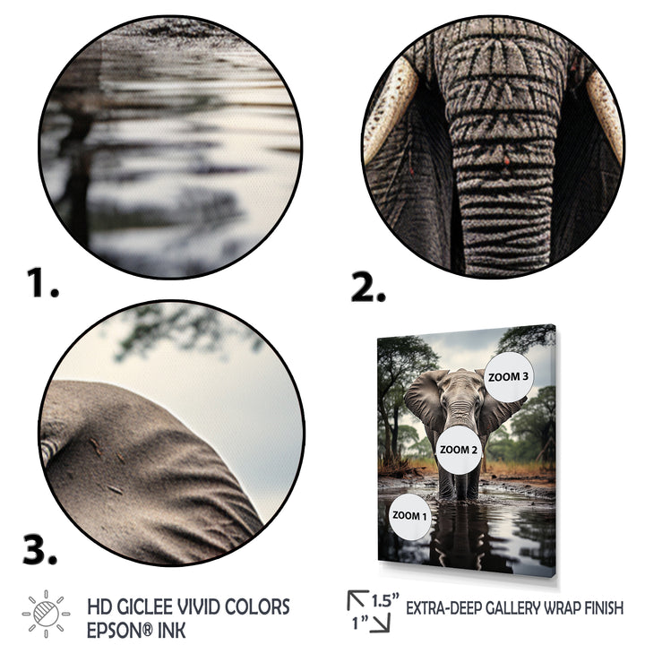 Elephant Majestic Reflections - Elephant Wall Decor