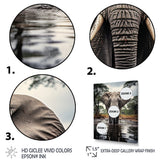 Elephant Majestic Reflections - Elephant Wall Decor