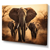 Elephant Shadows Of Serenity I - Animals Canvas Wall Art