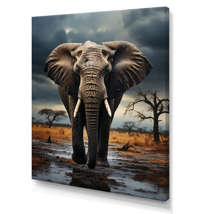 Elephant Tales From Afar - Elephant Large Canvas Wall Art