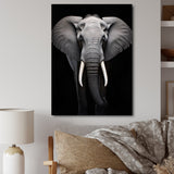 Elephant Tusked Elegance - Elephant Home Decor Art
