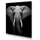Elephant Tusked Elegance - Elephant Home Decor Art
