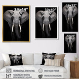 Elephant Tusked Elegance - Elephant Home Decor Art