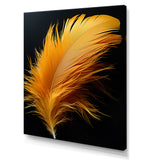 Orange Feather Elegance - Feathers Wall Decor