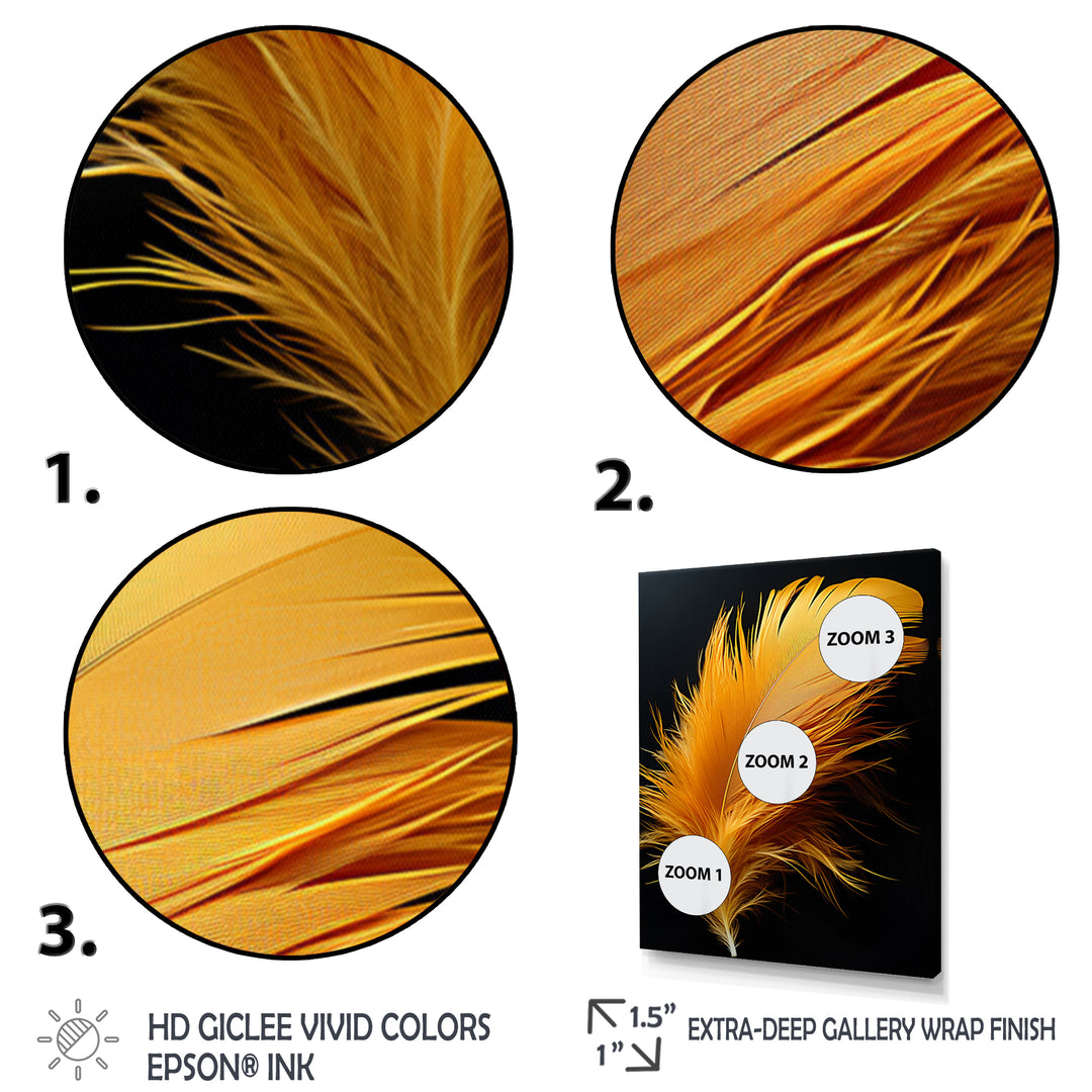 Orange Feather Elegance - Feathers Wall Decor
