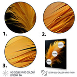 Orange Feather Elegance - Feathers Wall Decor