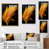 Orange Feather Elegance - Feathers Wall Decor