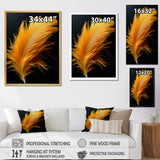 Orange Feather Elegance - Feathers Wall Decor