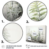 Ferns Silver Whispers I - Floral Canvas Wall Art