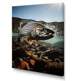 Fishing Vibrant Photo - Gray Fish Wall Art