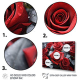 Red Grey Rose Eternal Beauty - Floral Canvas Wall Art