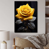 Yellow Black Rose Elegance III - Floral Canvas Wall Art