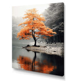 Orange And Grey Forest Autumn Elegance II - Landscapes Canvas Wall Art