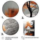 Orange And Grey Forest Autumn Elegance II - Landscapes Canvas Wall Art