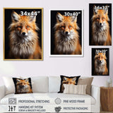 Orange Fox Guardian - Animals Canvas Wall Art