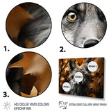 Fox Woodland Enigma - Fox Framed Canvas Art