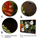 Frog Amphibian Serenade - Frog Bedroom Wall Art